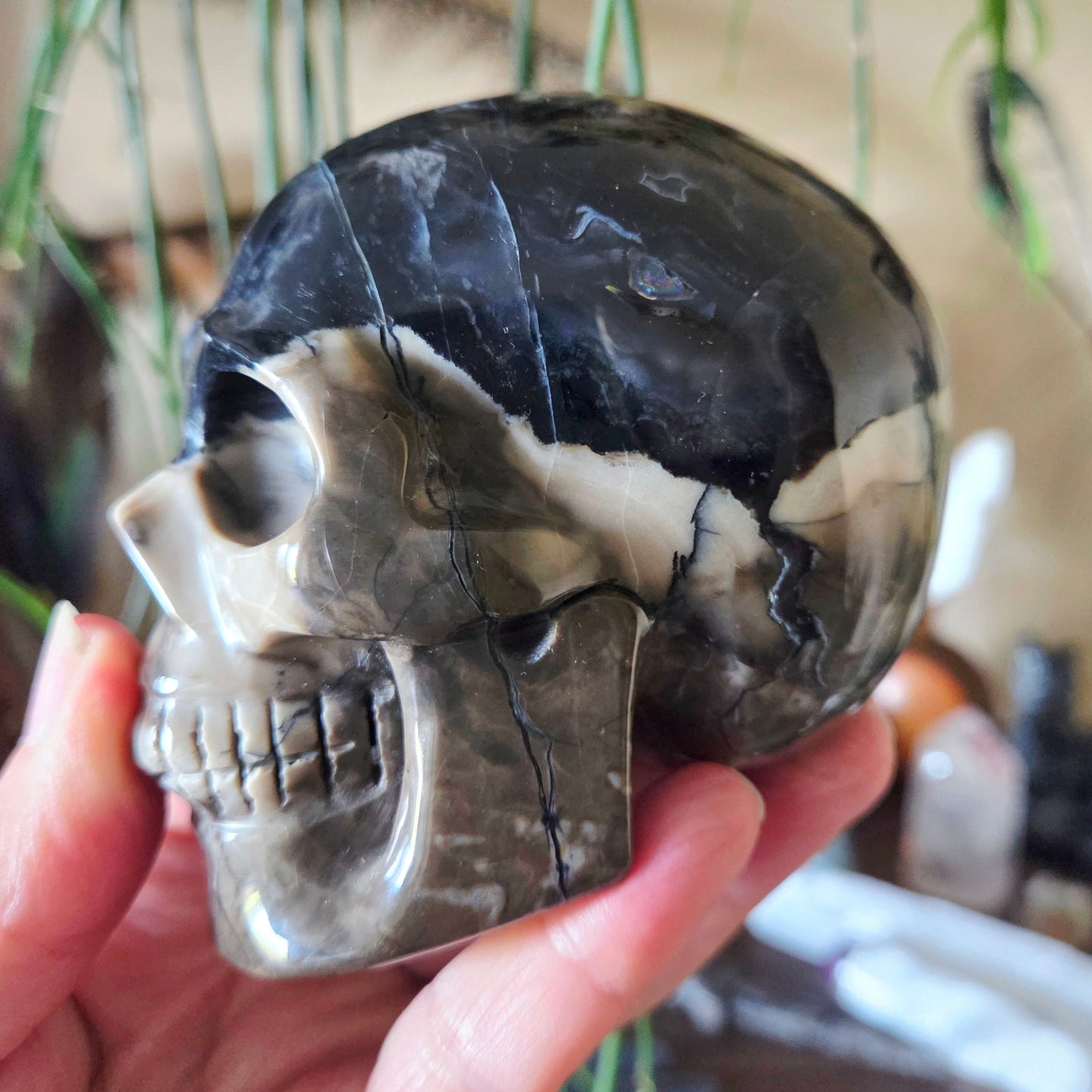 Volcano Agate Skull 700Gm
