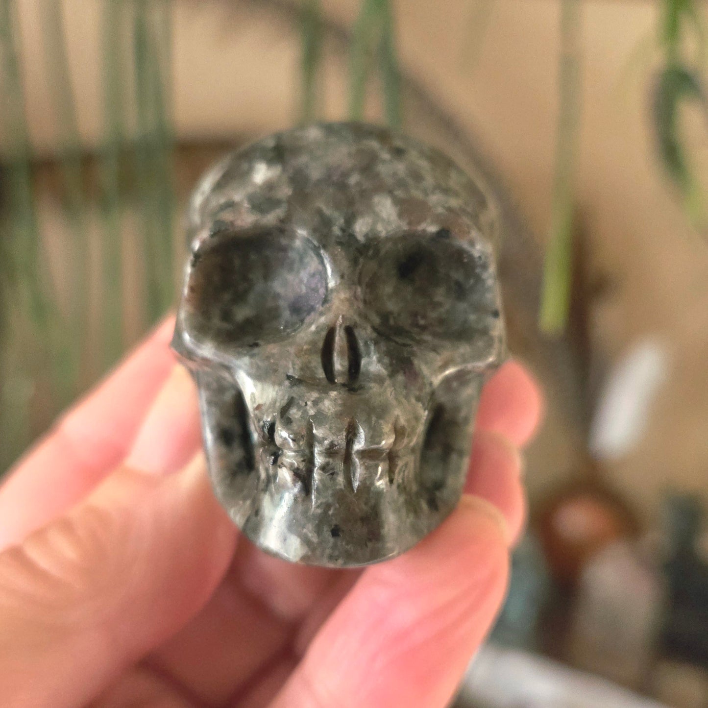 Yooperlite Skull