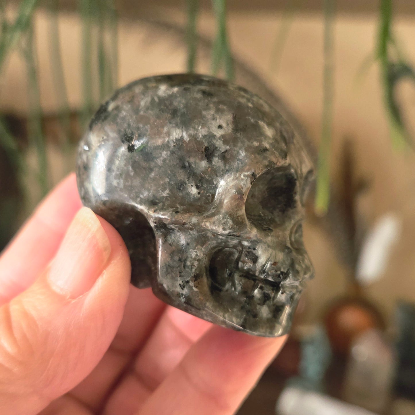 Yooperlite Skull