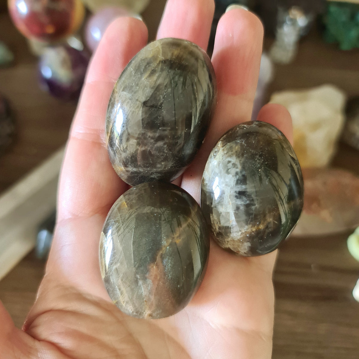 A hand holding three black moonstone palm stones with varying shades and patterns.