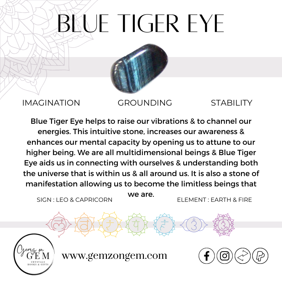 Blue Tiger Eye Palm