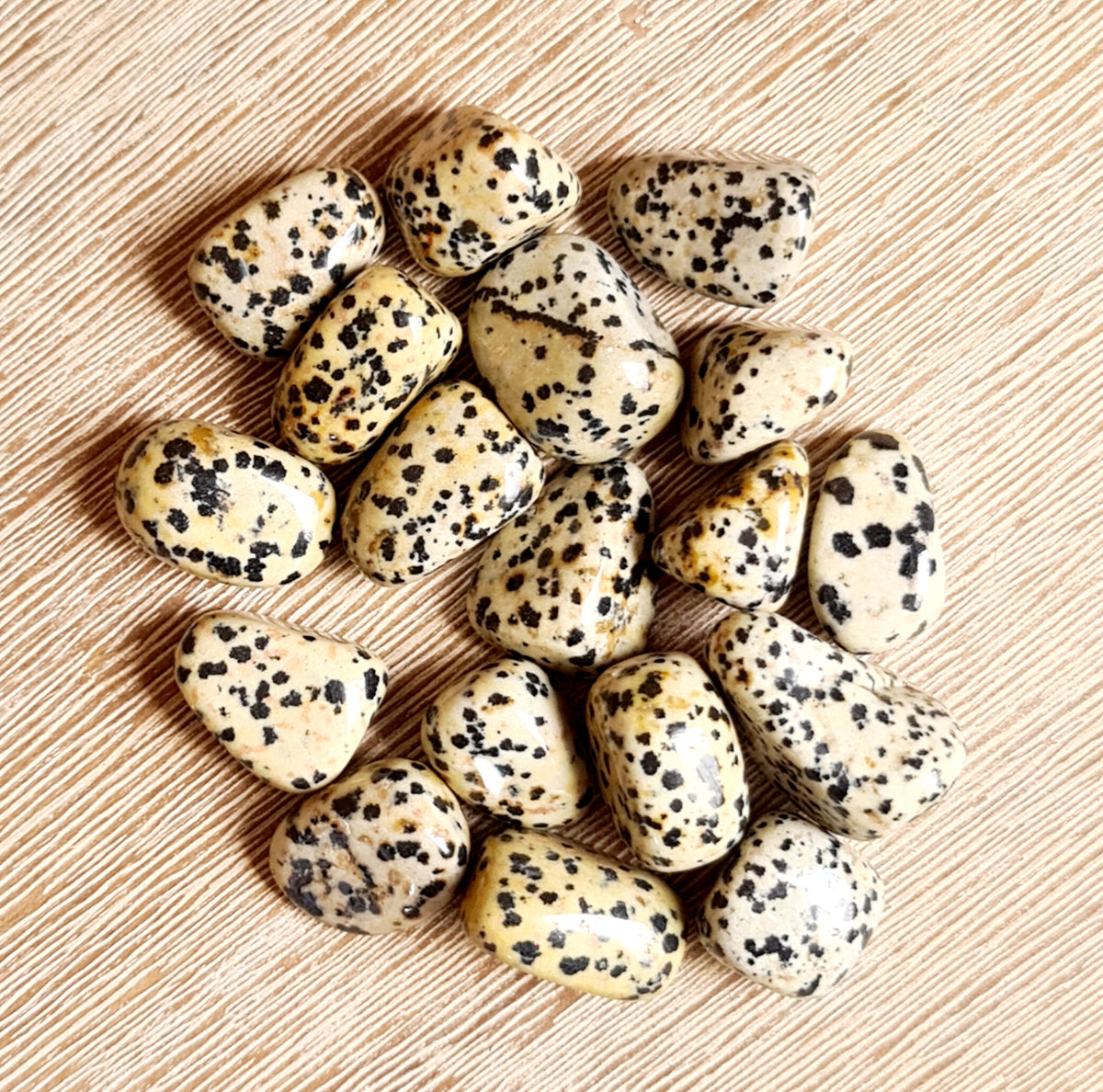 A collection of Dalmatian Jasper tumbles displayed on a wooden surface.