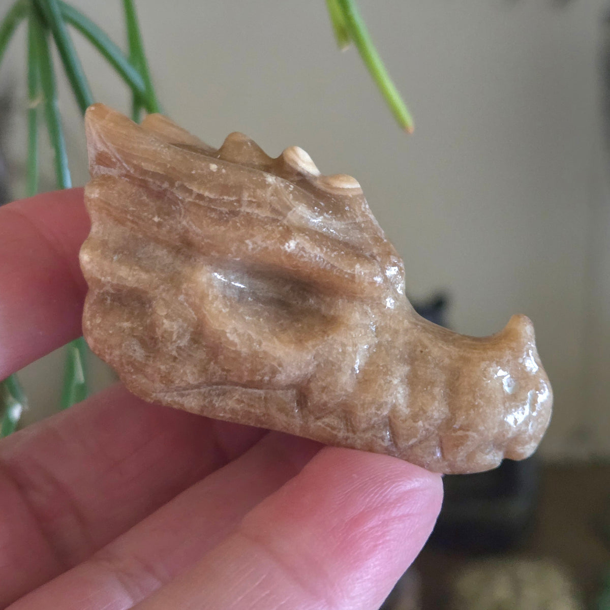 Hand holding a stone carving of a bear paw with a blurred background
