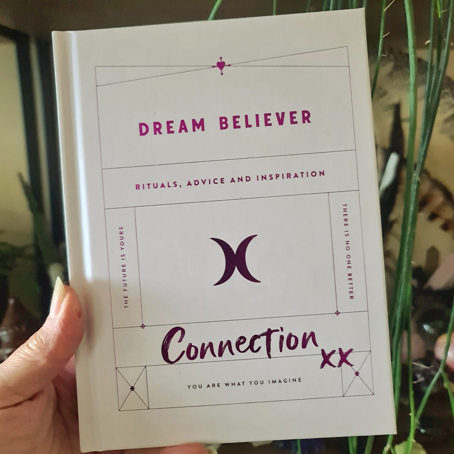 cream coloured hardcover book held by a hand