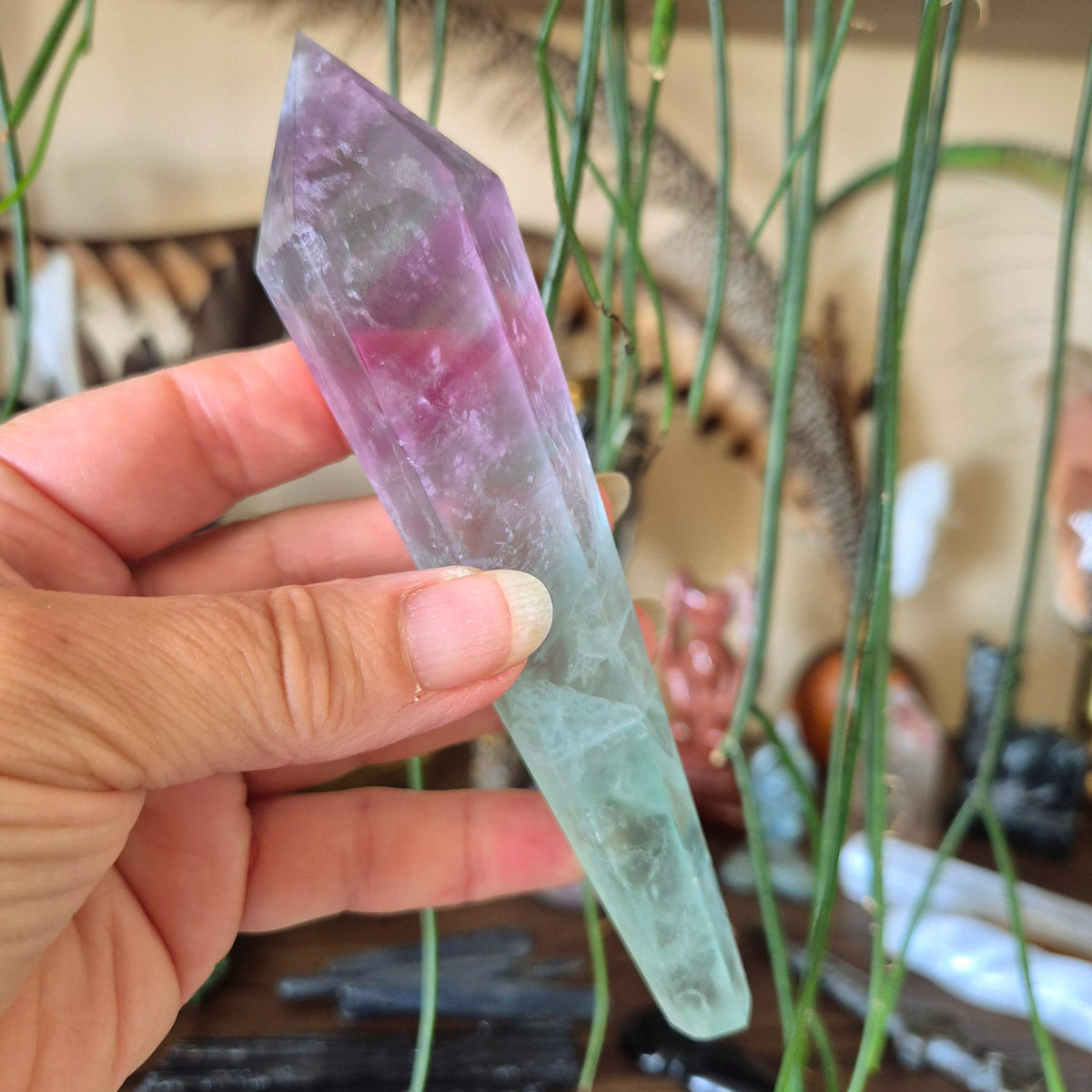 A hand holding a fluorite crystal scepter with a green and purple coloring, against a backdrop of various decorative items.