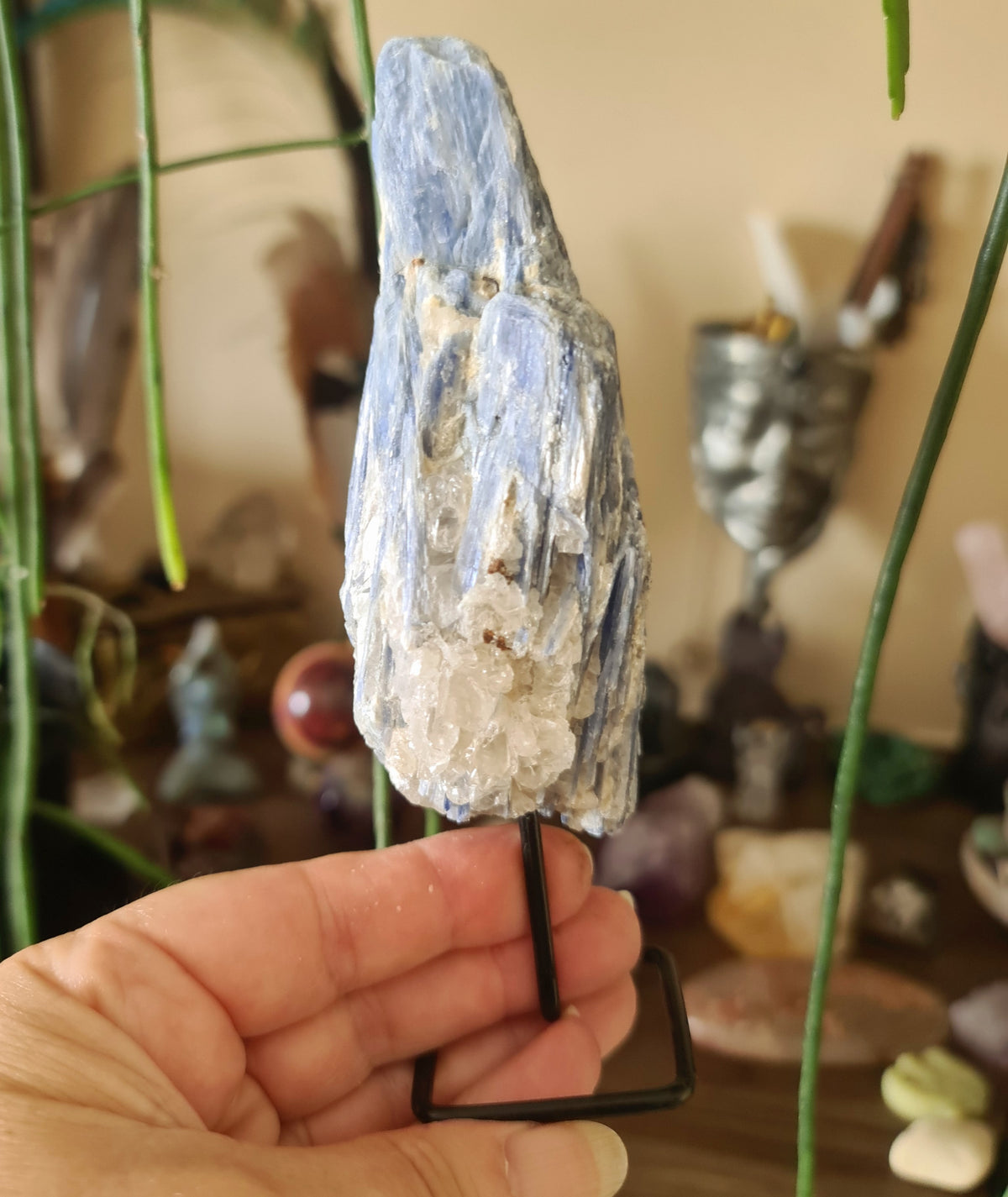 A blue kyanite pin held by a hand, with a blurred background suggesting it might be a crystal or gemstone.