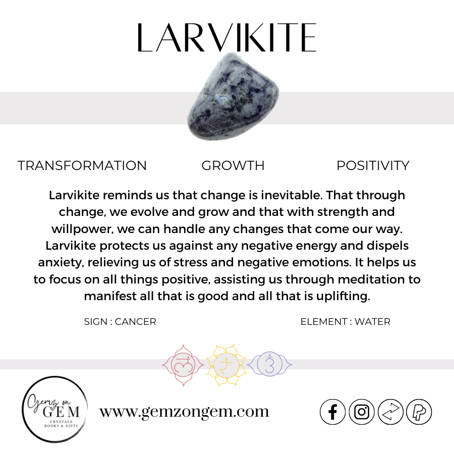 Larvikite Raven Skull