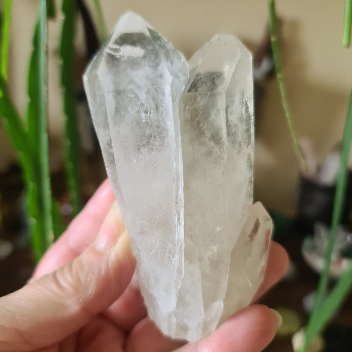 A clear, triple-pointed Lemurian crystal held in a person's hand.