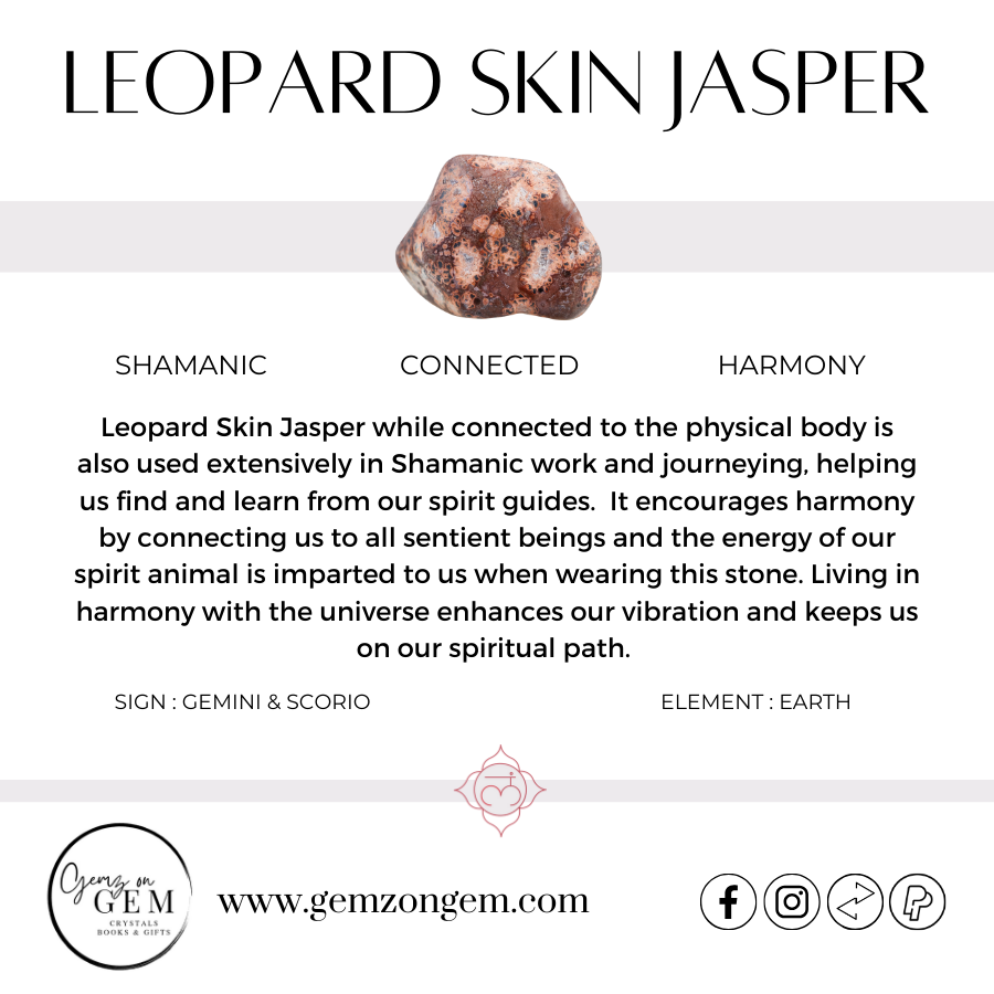Leopard Skin Jasper Bracelet