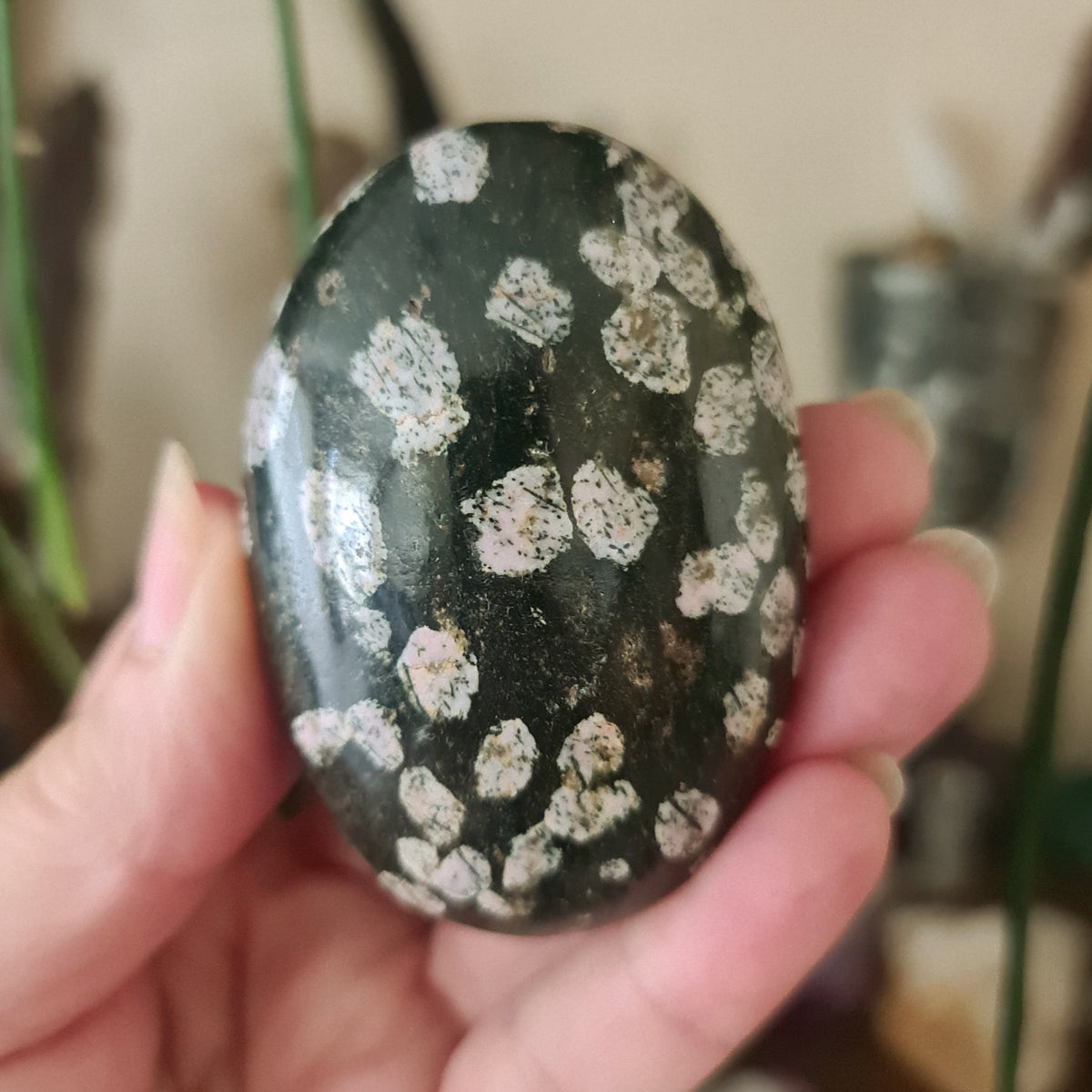 A hand holding a polished Pudding Stone Jasper with a pattern resembling a palm.