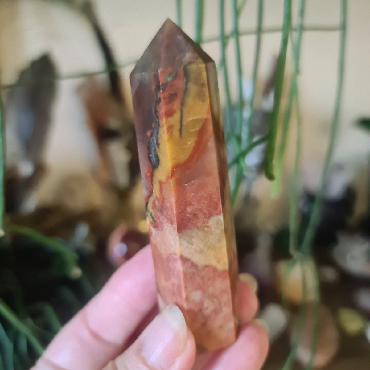 A polished red jasper gemstone point held in a person's hand, with a plant in the background.