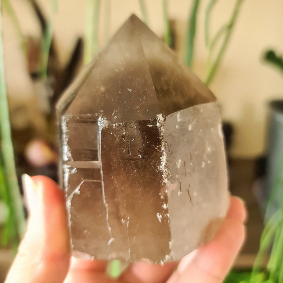 A smoky quartz crystal with a cut base point, held in a person's hand.