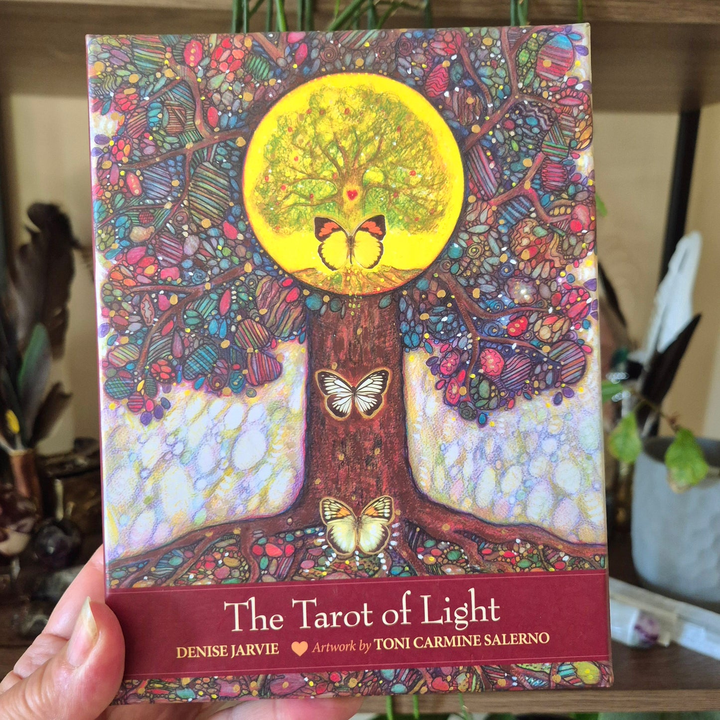 The Tarot of Light Cards in a box with a beautiful colourful tree