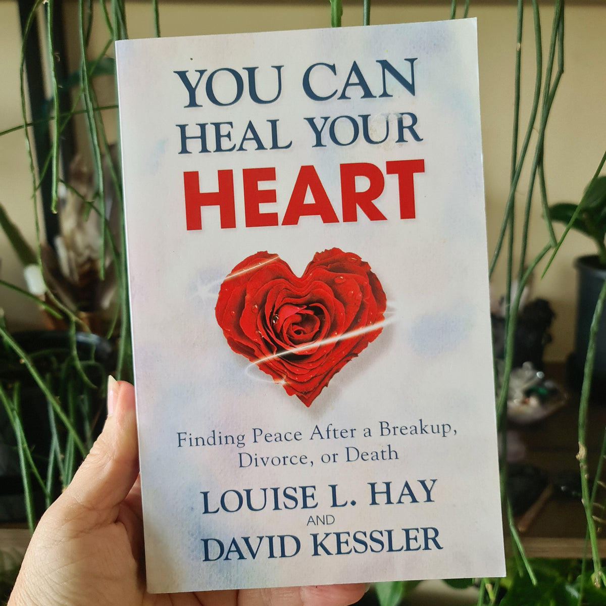 A book titled 'You Can Heal Your Heart' by Louise L. Hay and David Kessler, featuring a red rose on the cover.