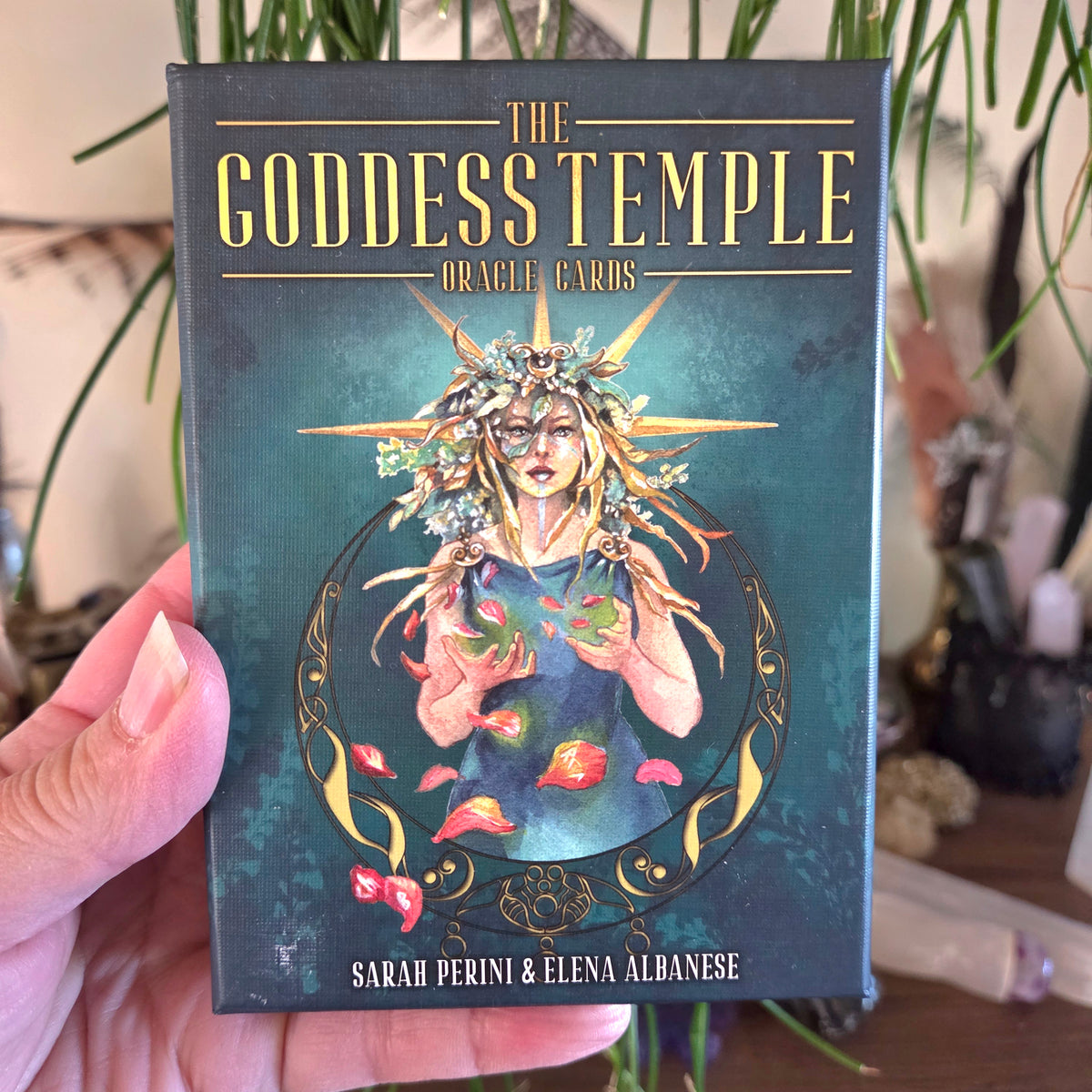 Book titled 'The Goddess Temple Oracle Cards' held by a hand with plants in the background