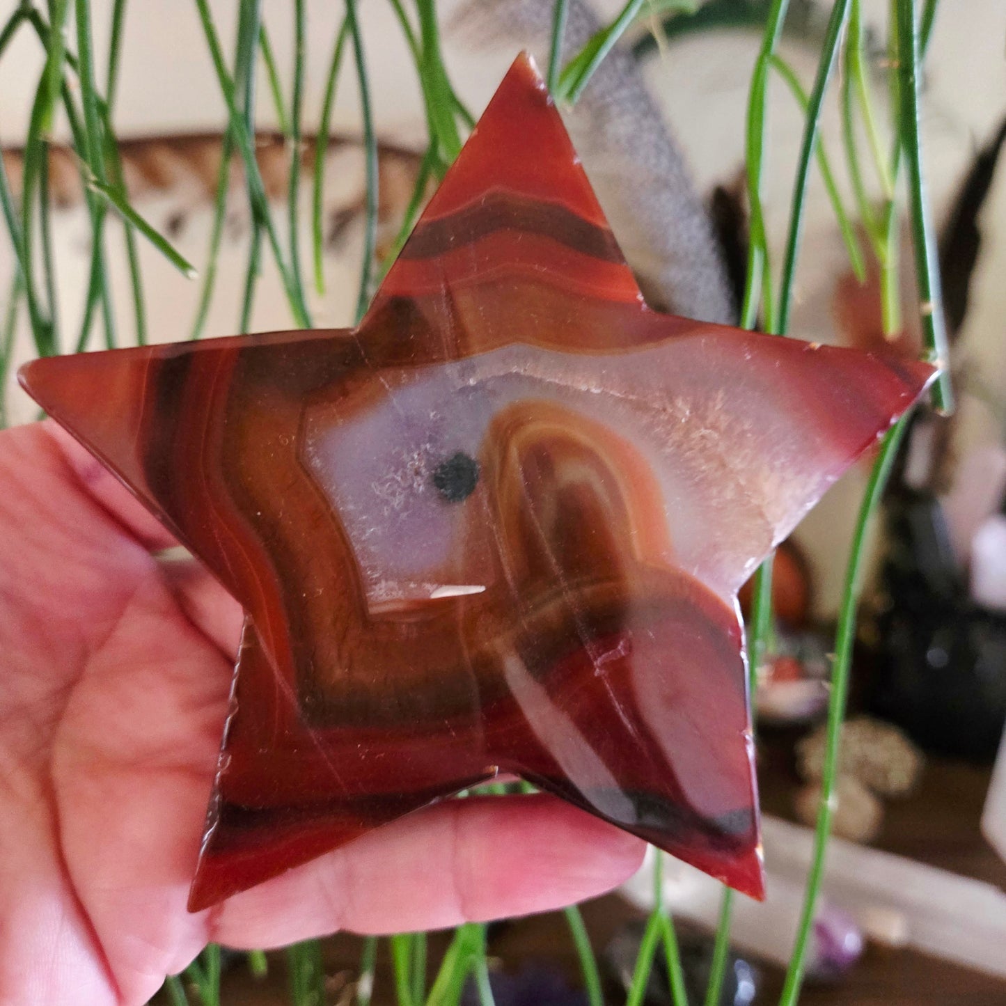Red Agate Star Slab