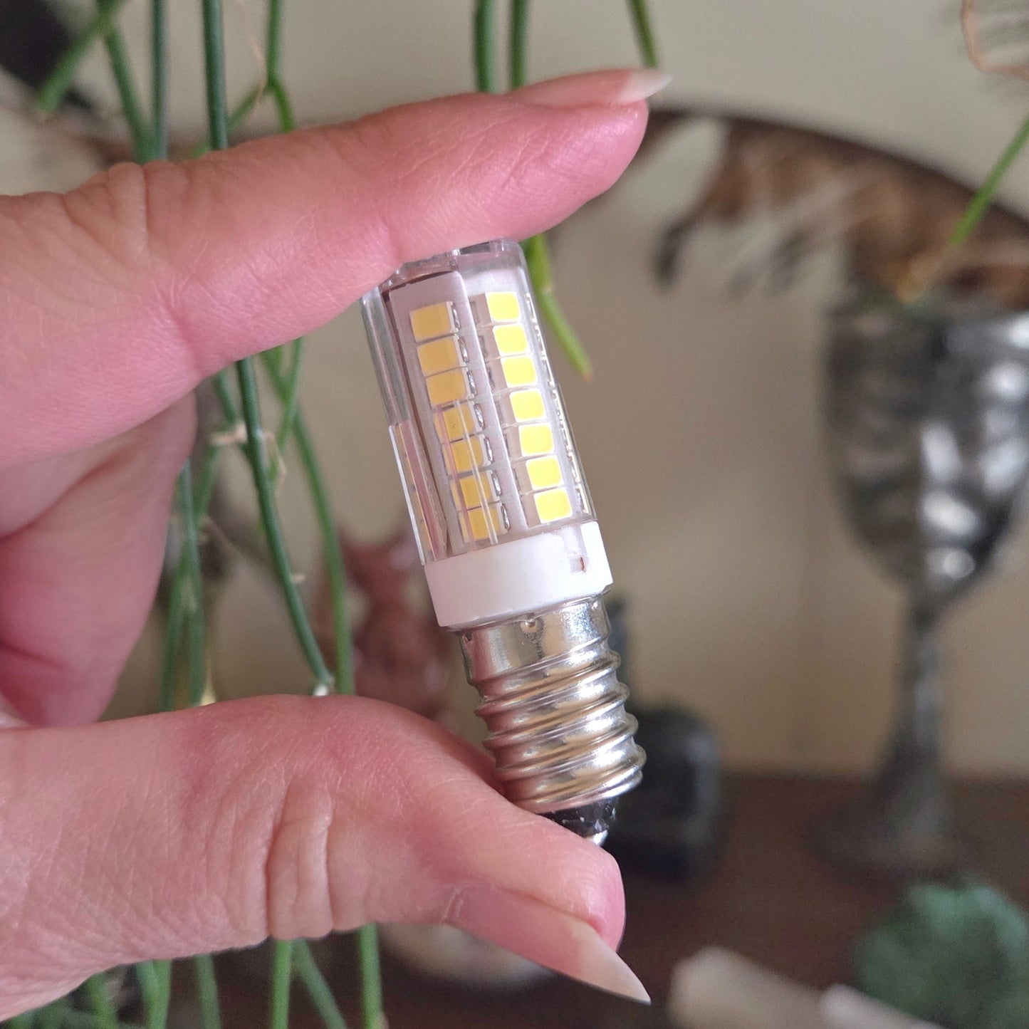 Led 5W Bulb