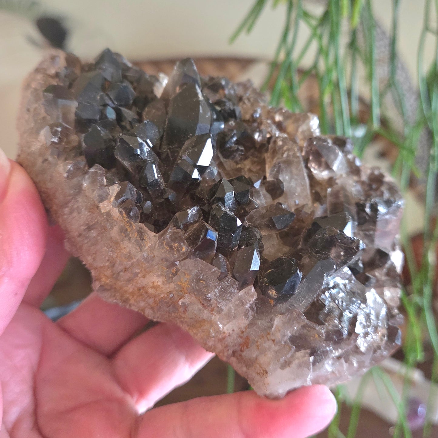 Smoky Quartz Cluster