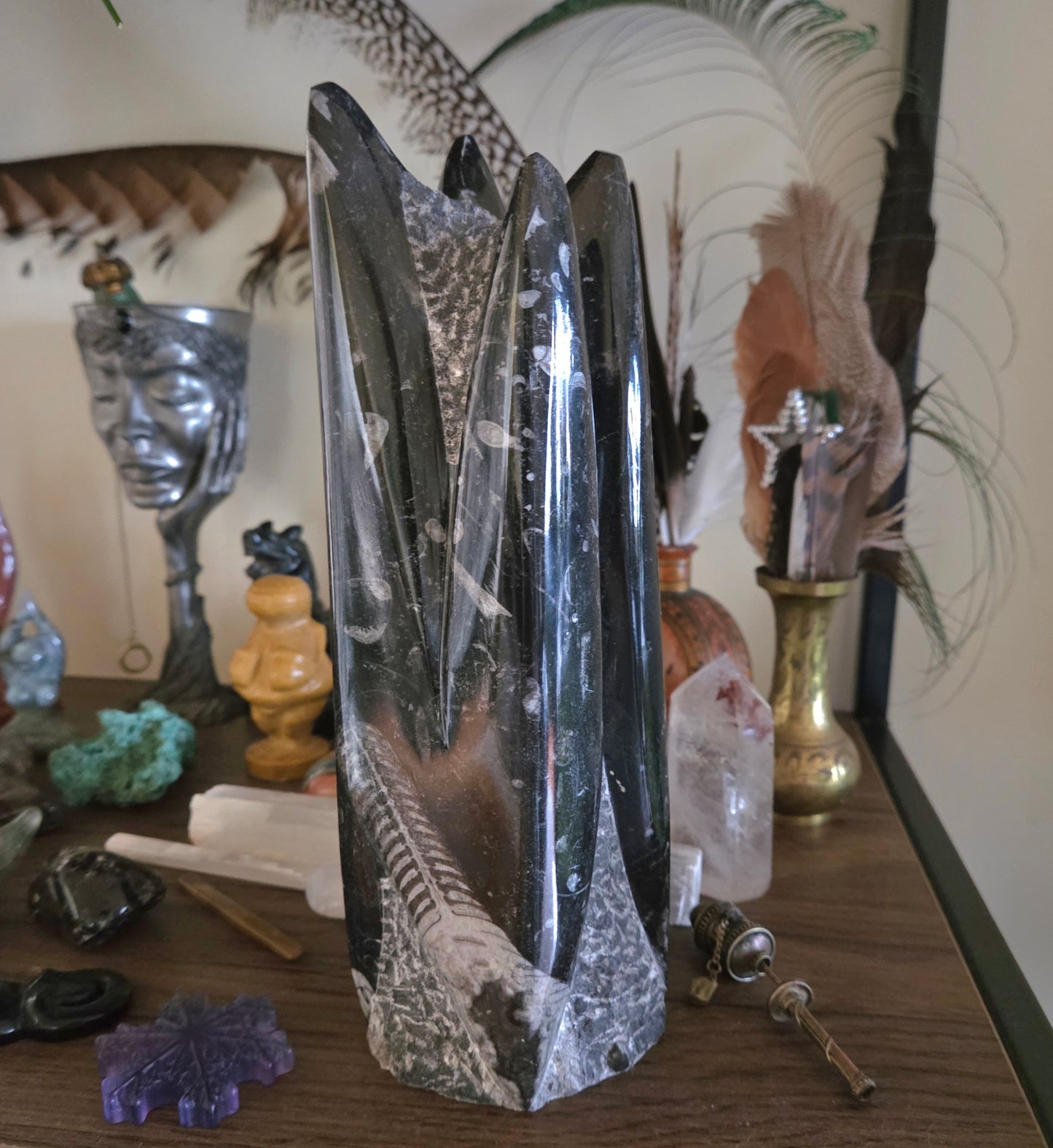 Orthoceras Fossil Tower 2Kg