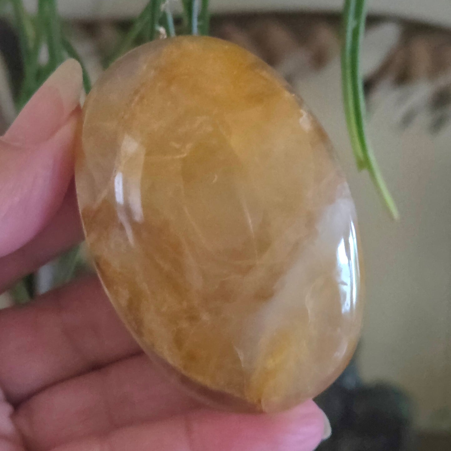 Golden Healer Palm Stone