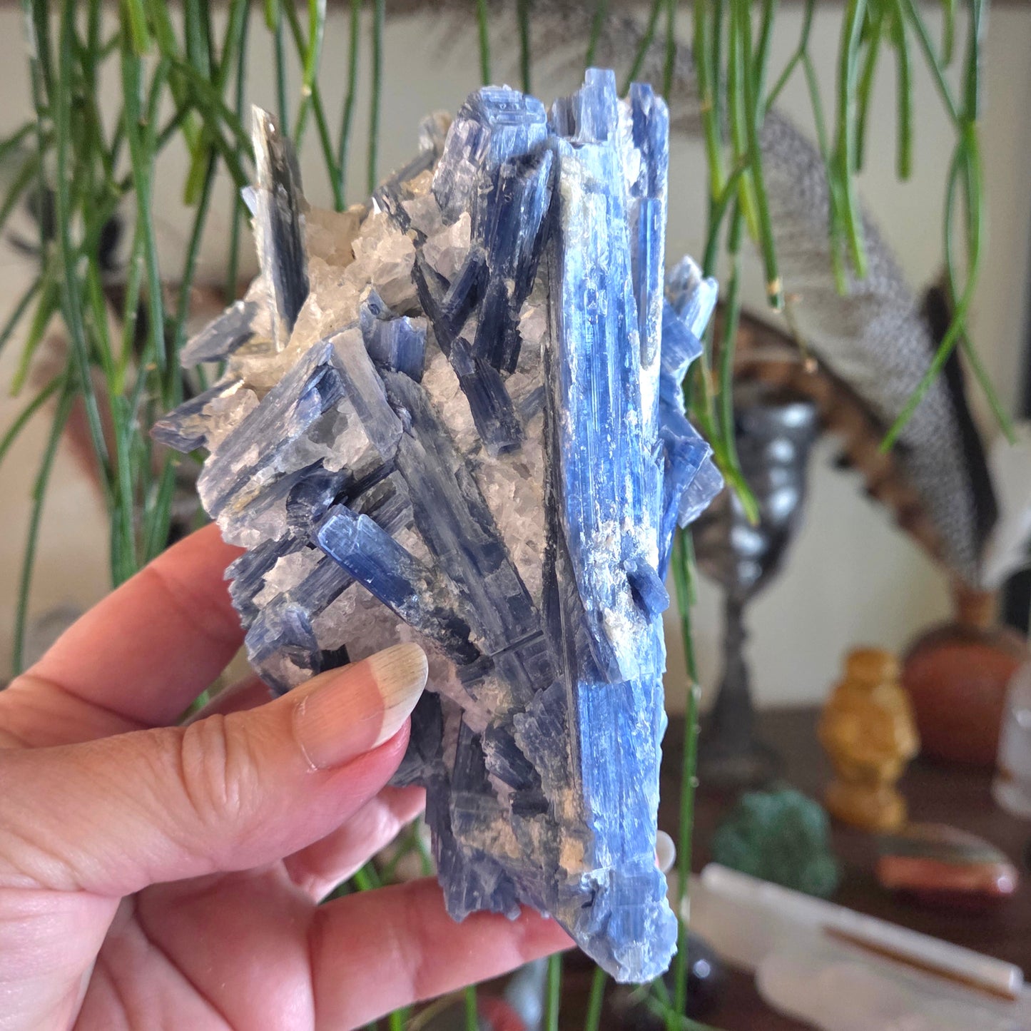 Kyanite In Quartz 697gm