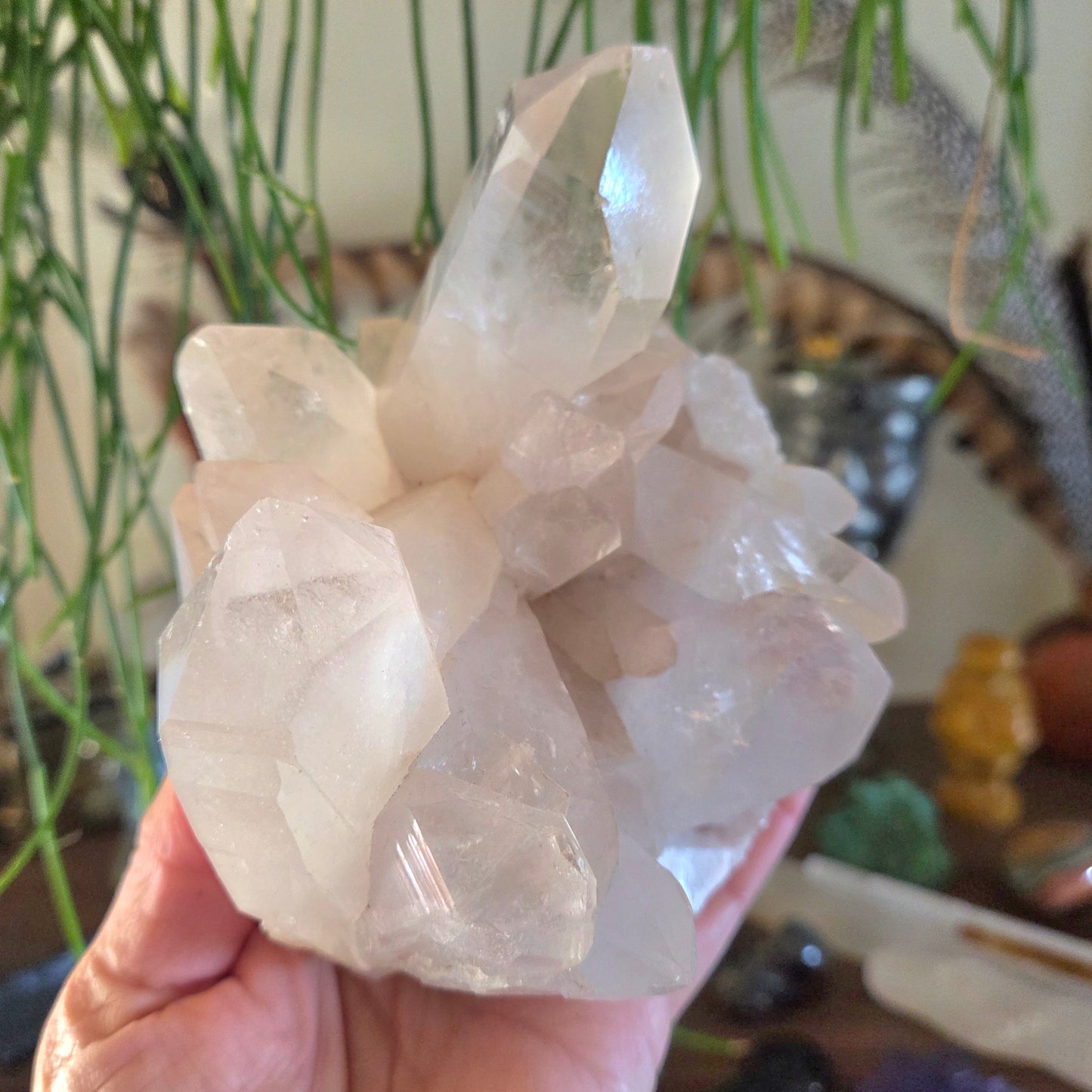 Clear Quartz Cluster
