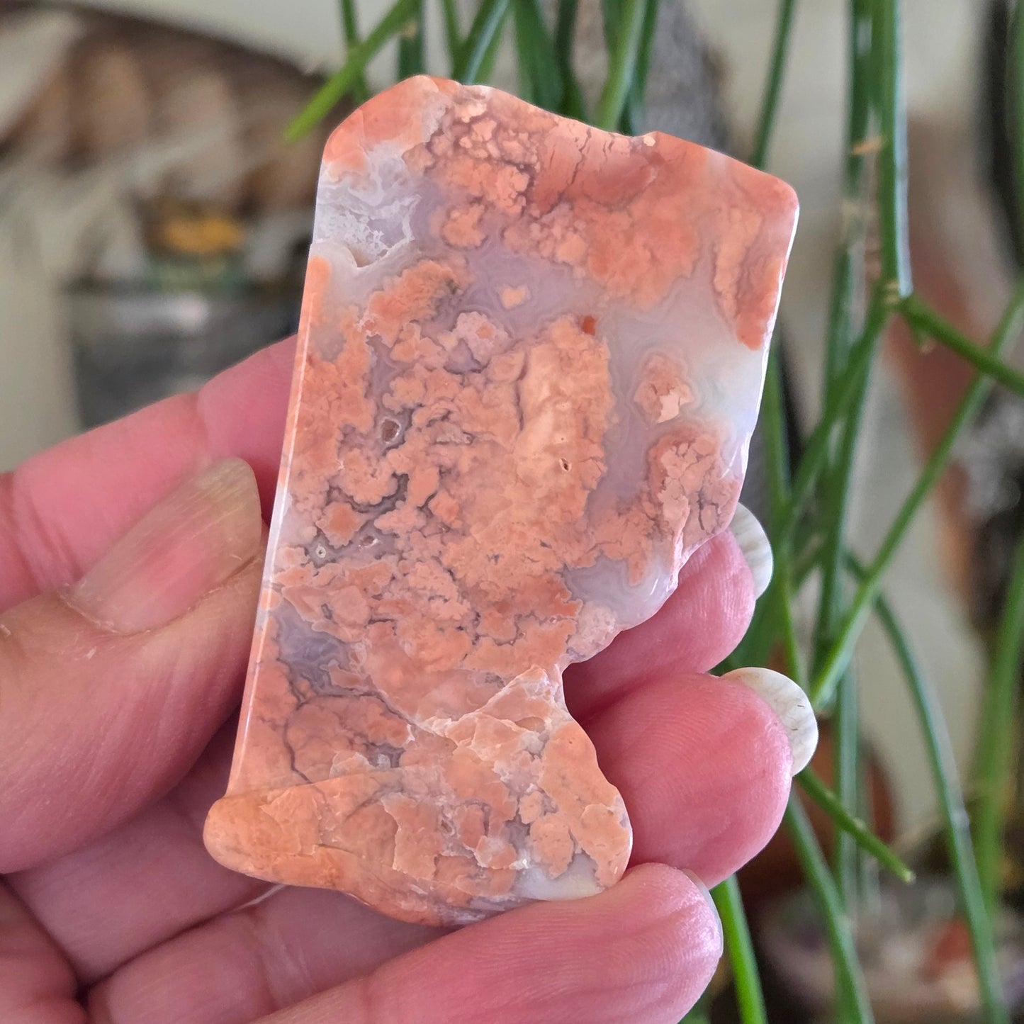 Petal Agate Freeforms
