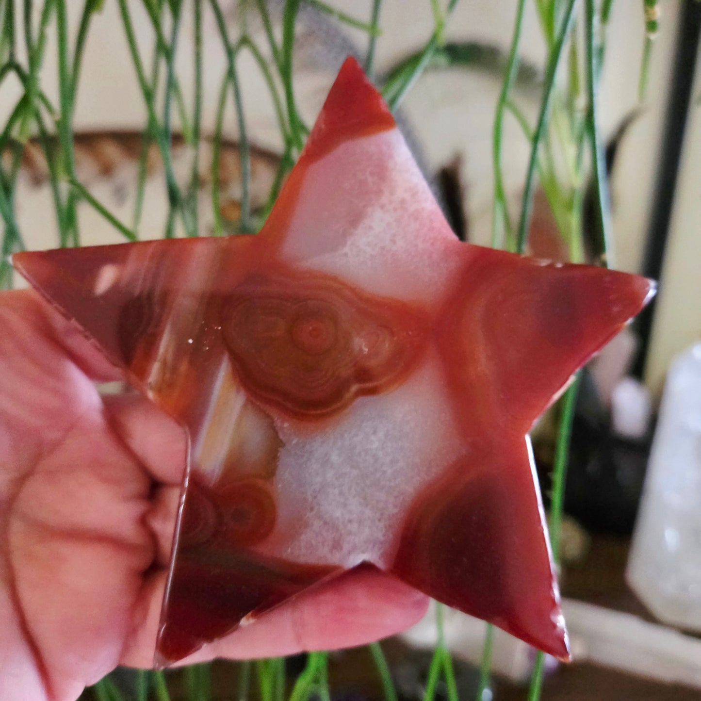 Red Agate Star Slab