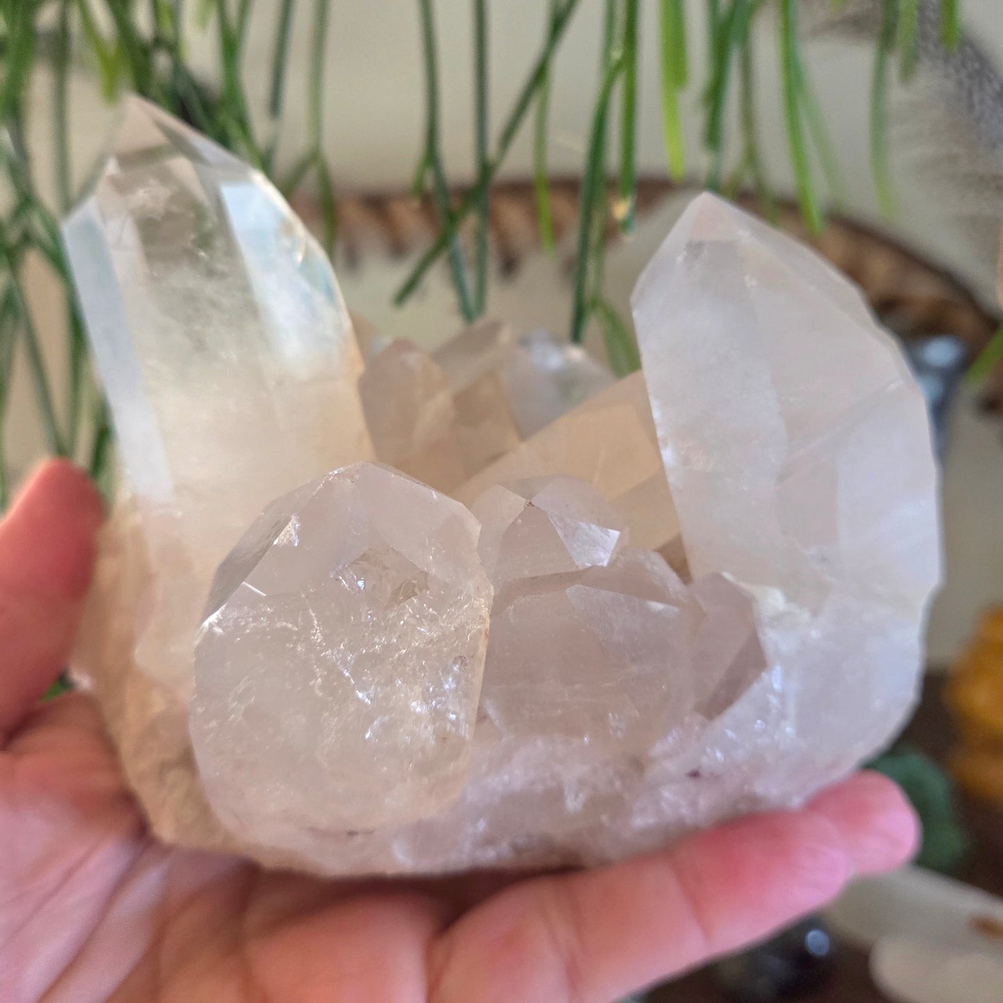 Clear Quartz Cluster