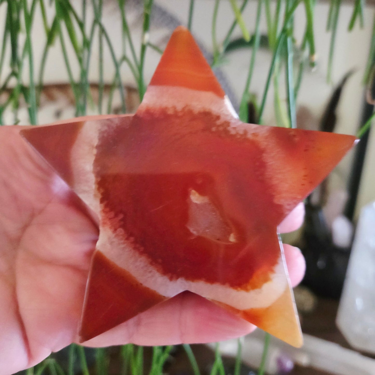 Red Agate Star Slab