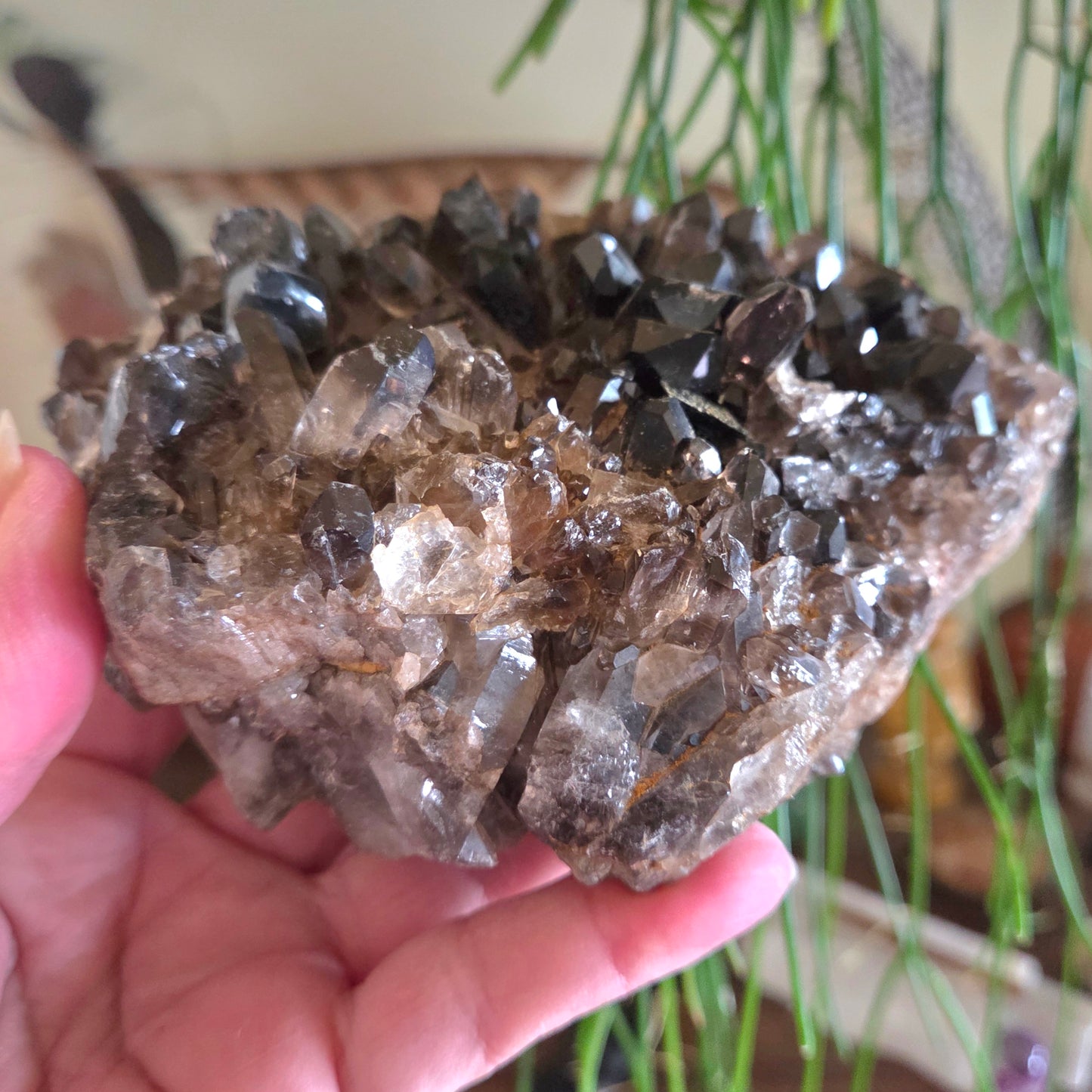 Smoky Quartz Cluster