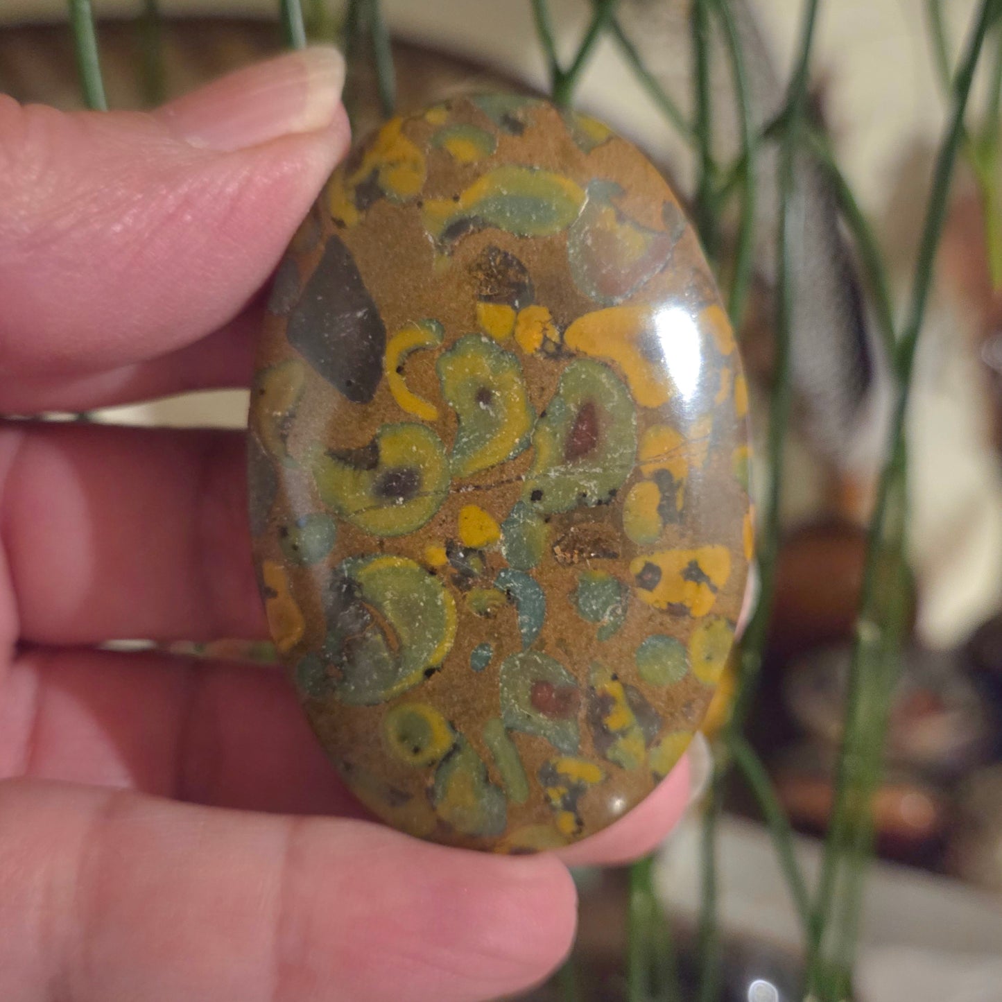 Ajooba Jasper Palm Stone