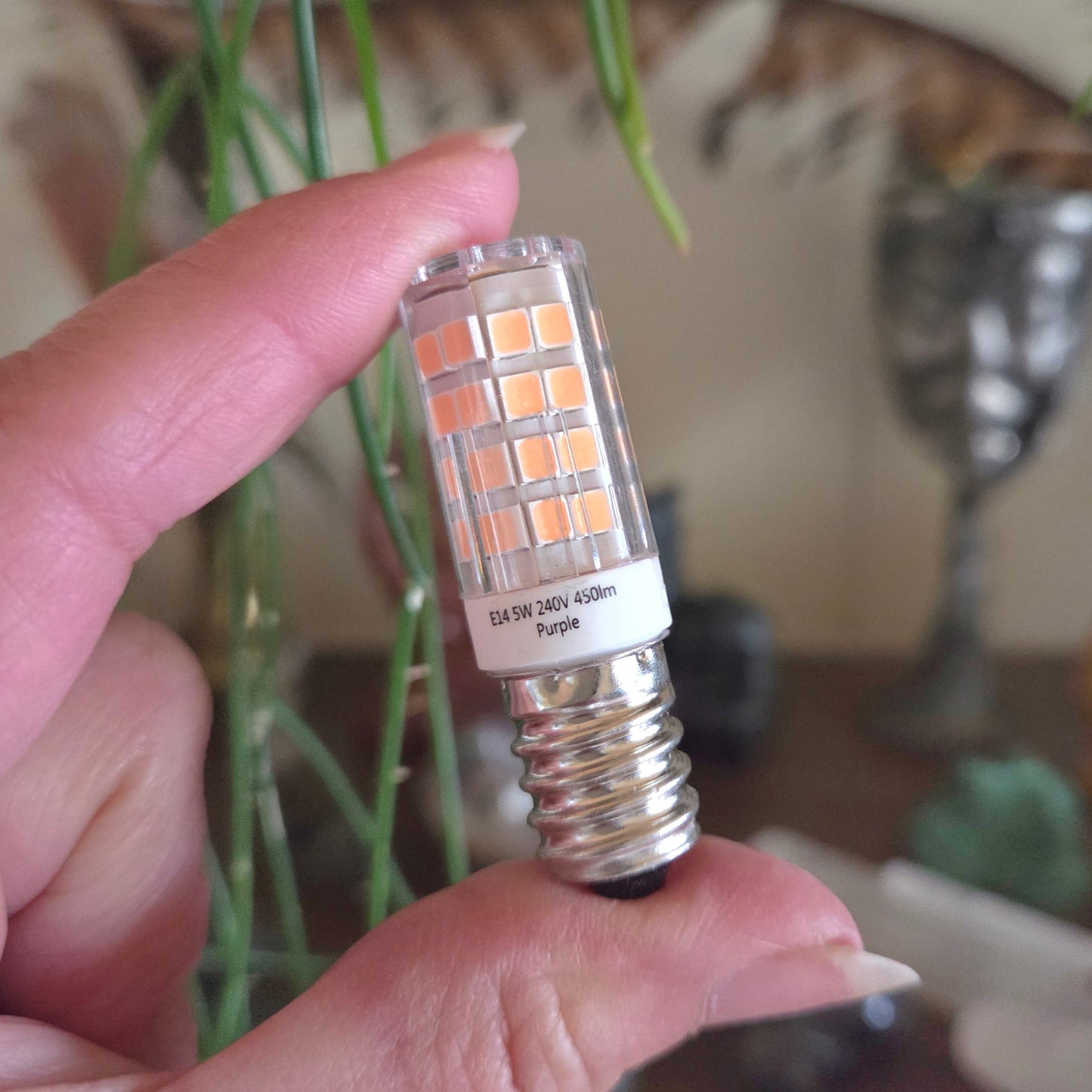 Led 5W Bulb