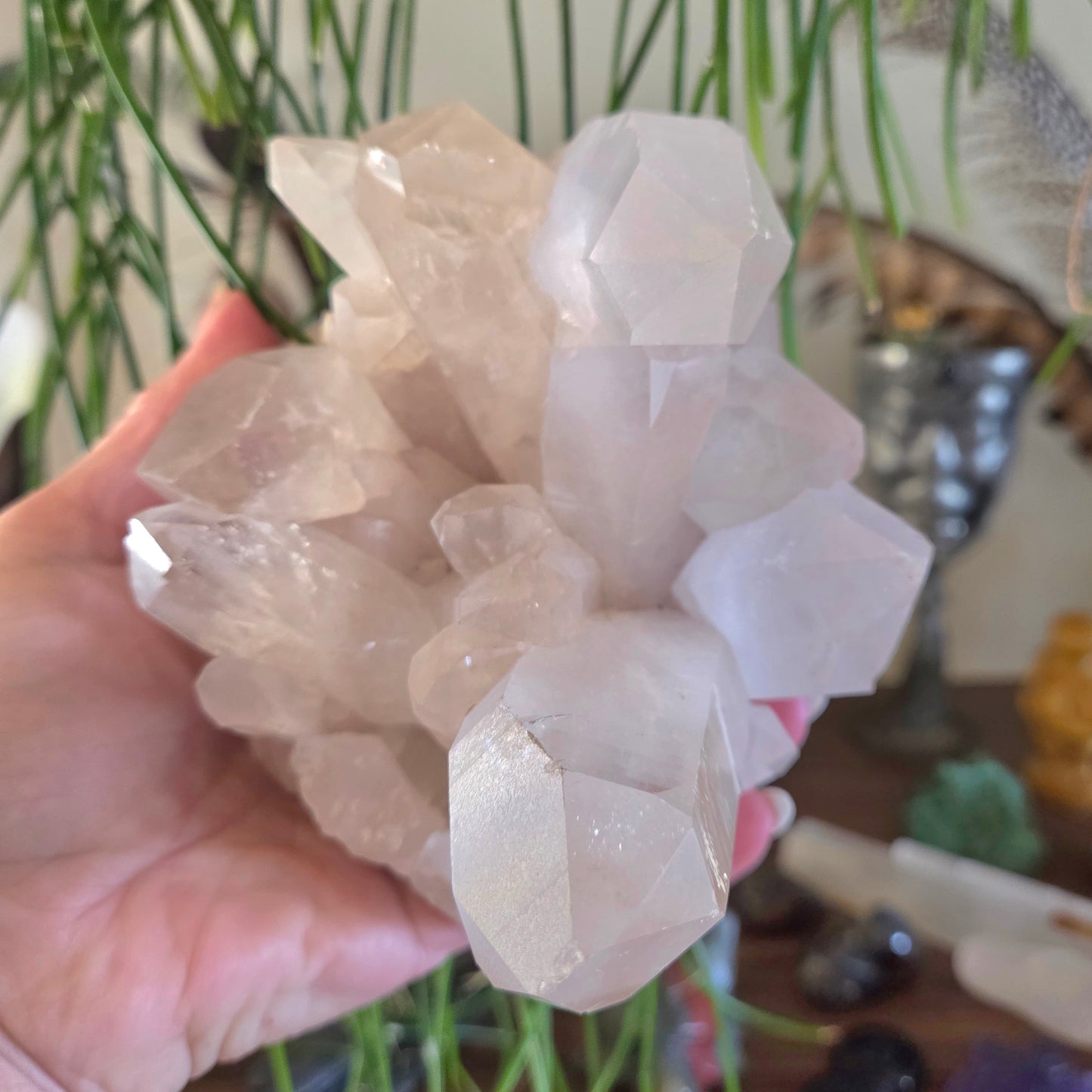 Clear Quartz Cluster