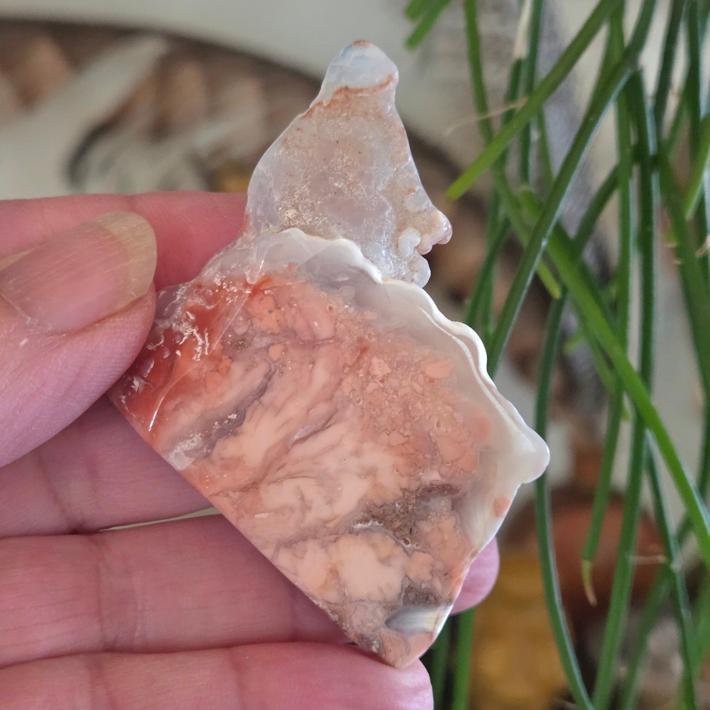 Petal Agate Freeforms