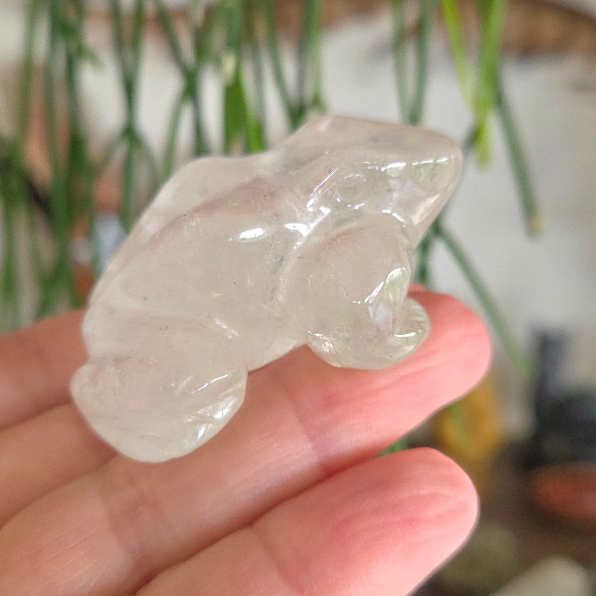 Crystal Frog