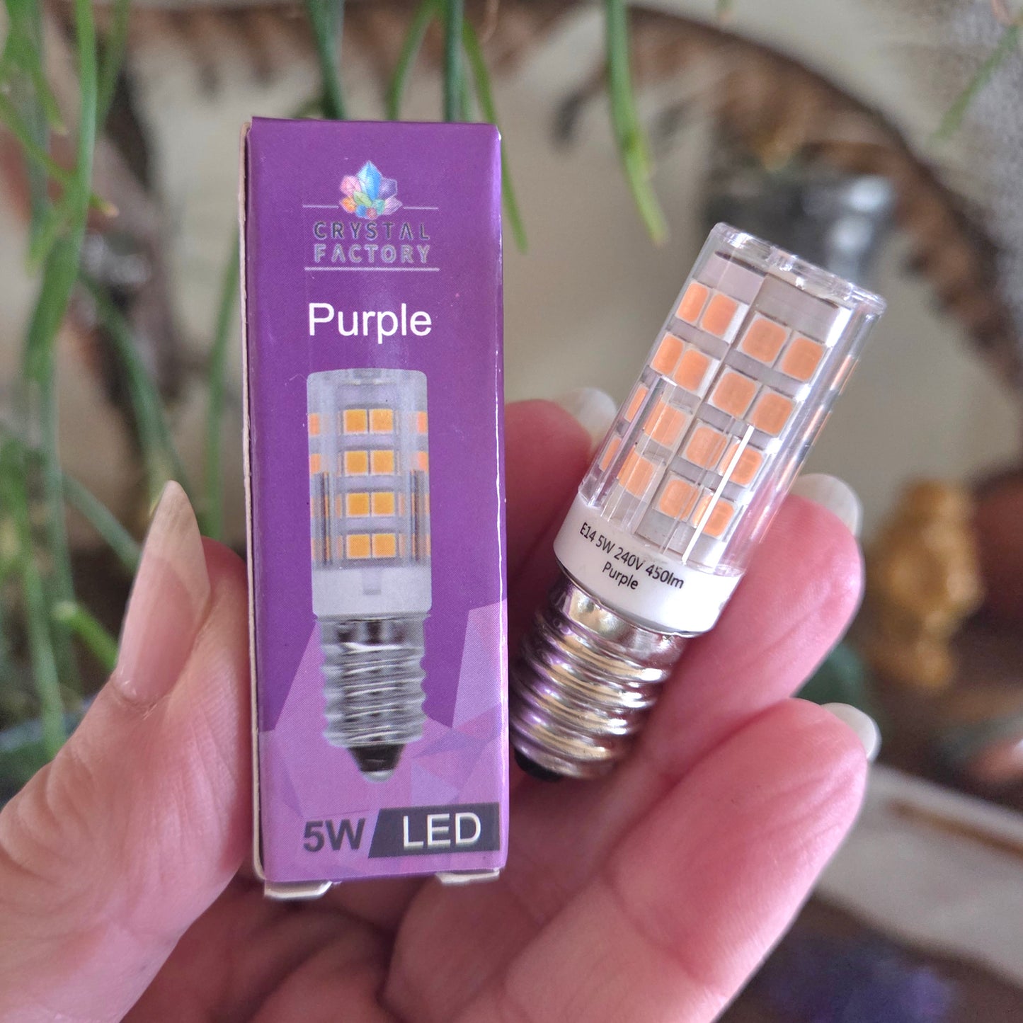 Led 5W Bulb
