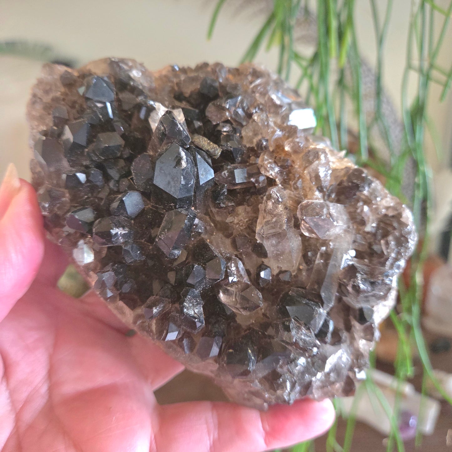 Smoky Quartz Cluster