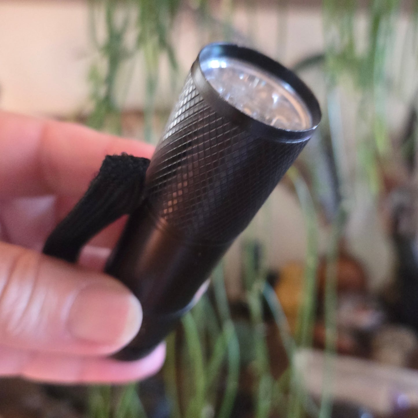LED UV Torch