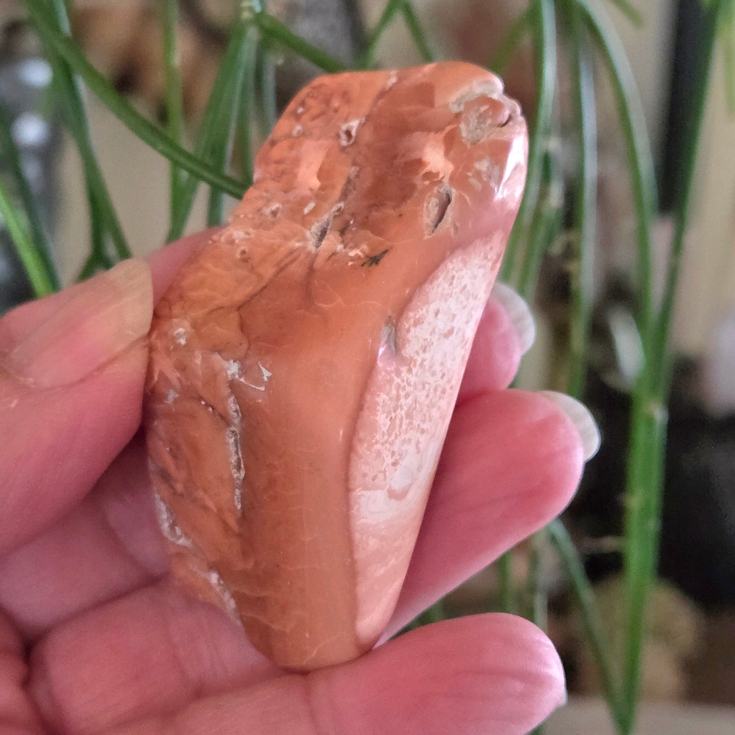 Petal Agate Freeforms
