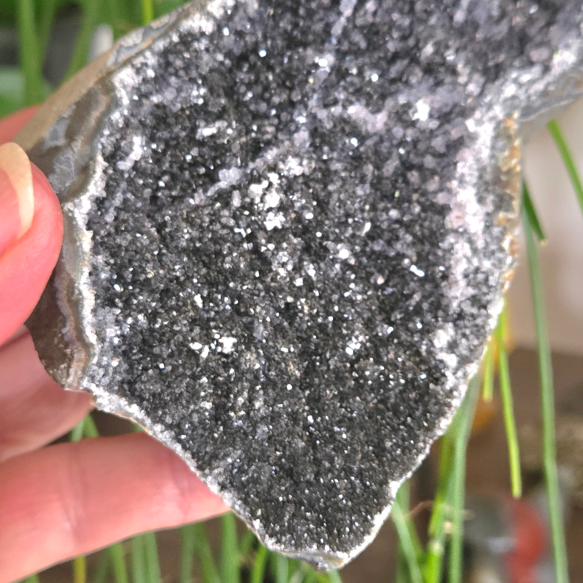 Black Amethyst Cluster Geode