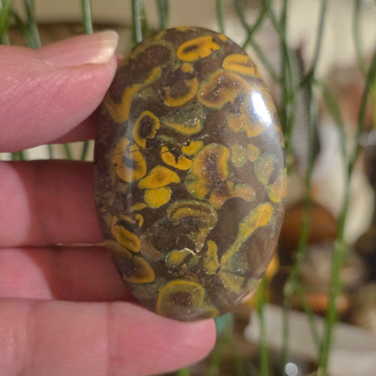 Ajooba Jasper Palm Stone