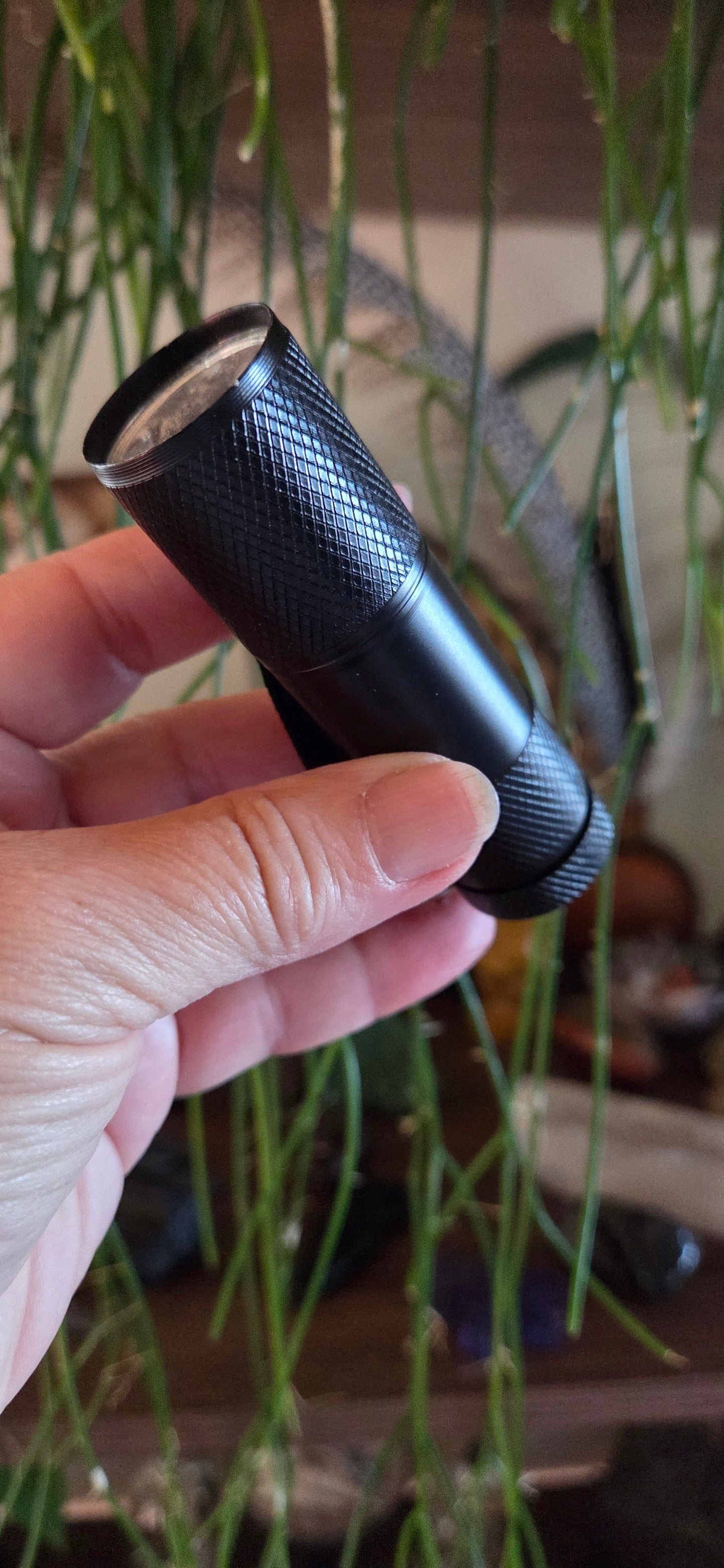 LED UV Torch