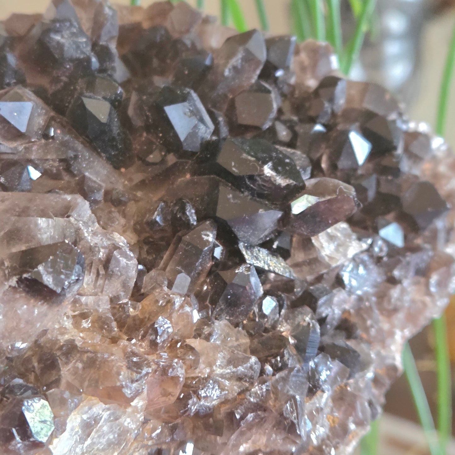 Smoky Quartz Cluster