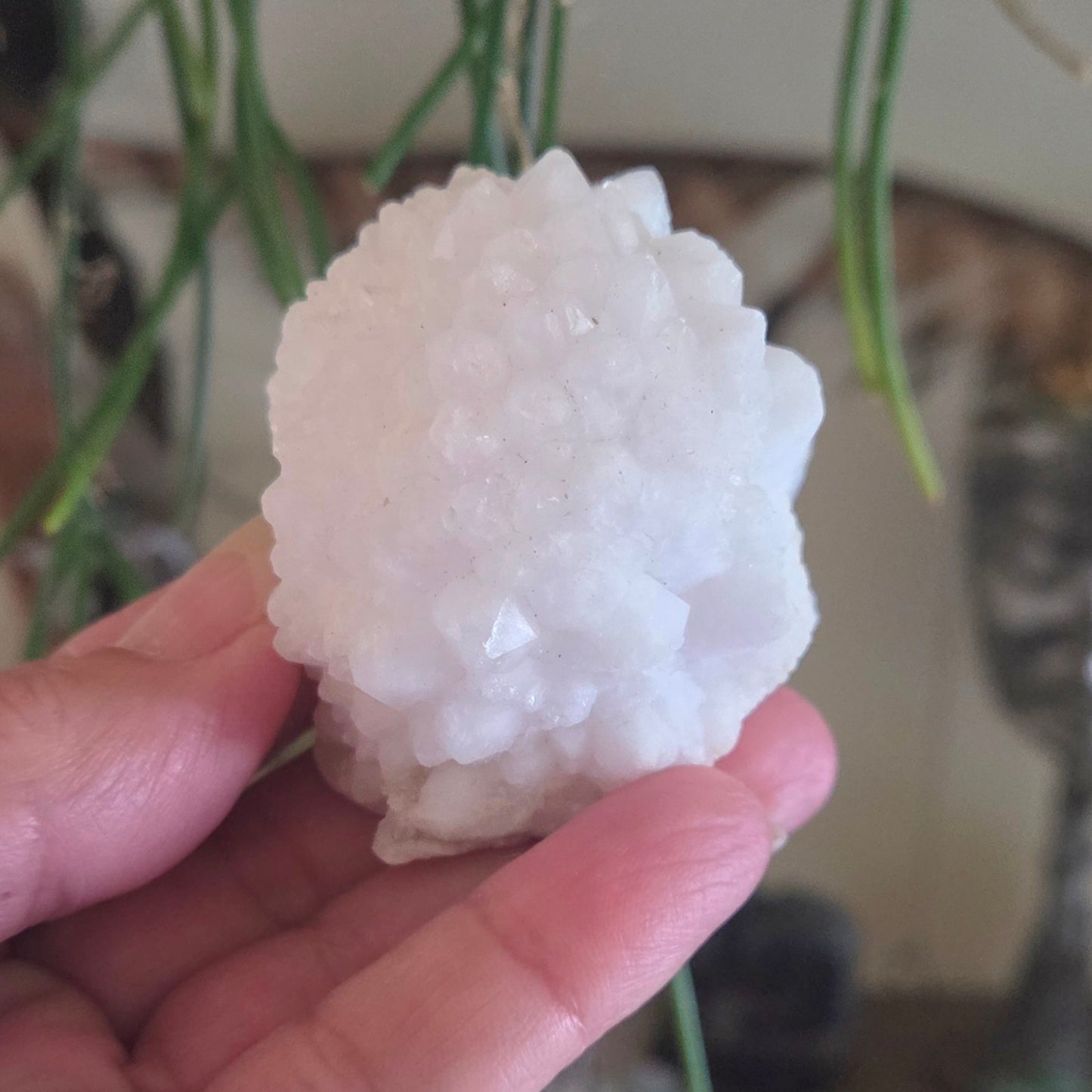 Moroccan Quartz Cluster