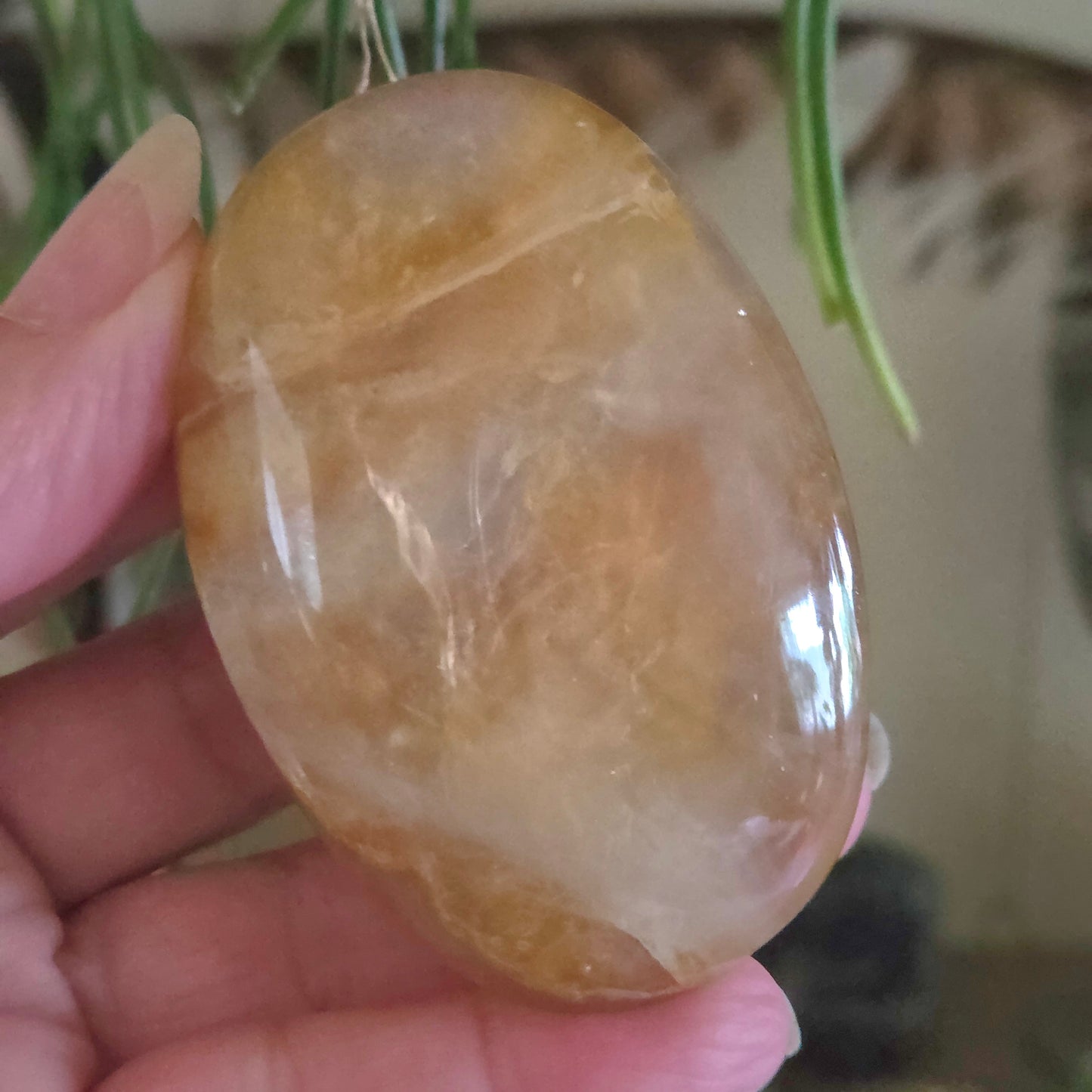 Golden Healer Palm Stone
