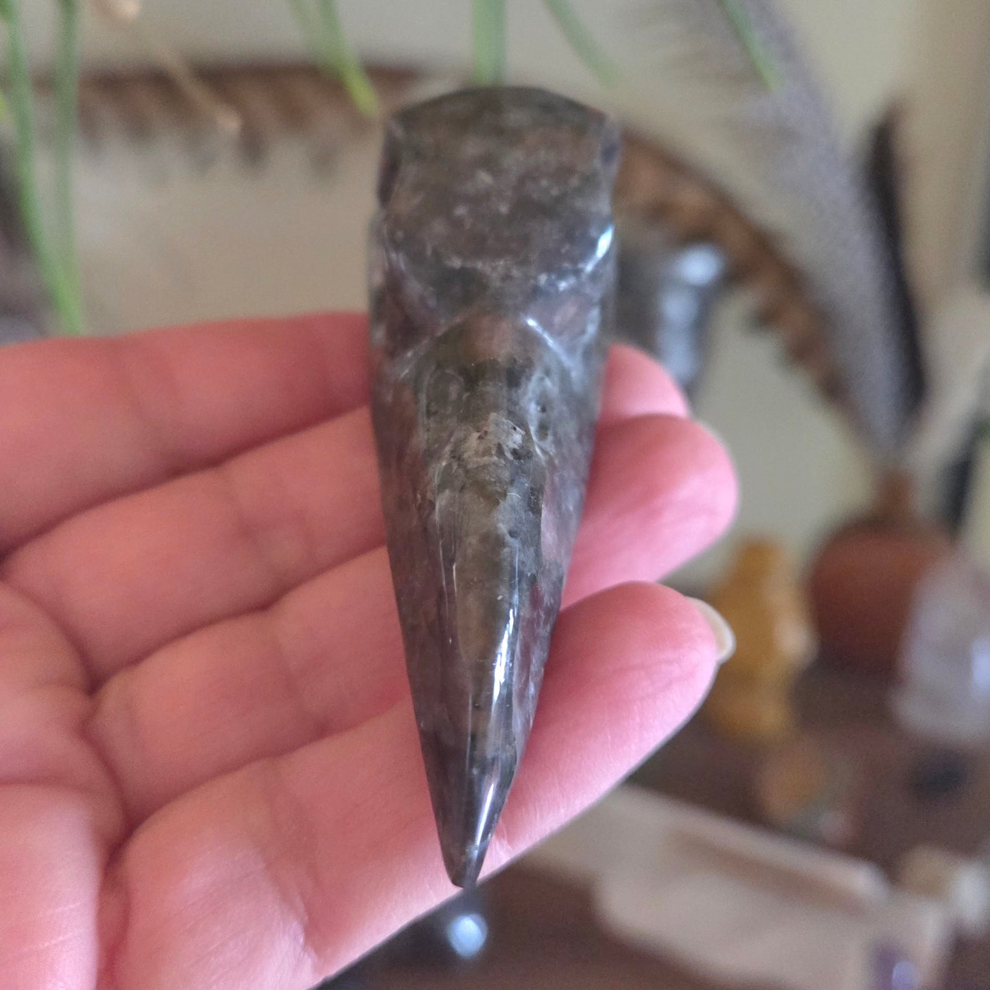 Larvikite Raven Skull