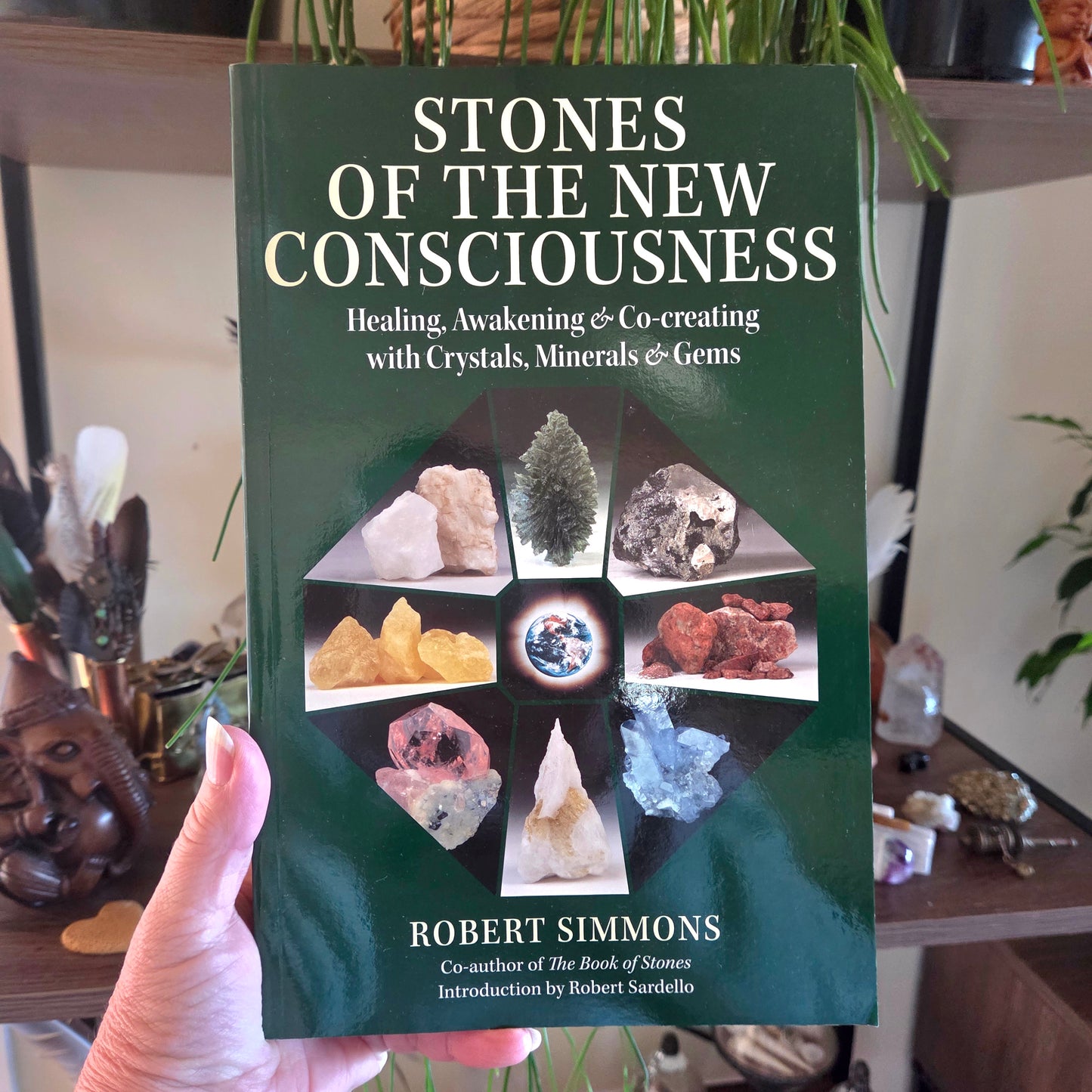 Book titled 'Stones of the New Consciousness' held by a person with a background of crystals and plants.