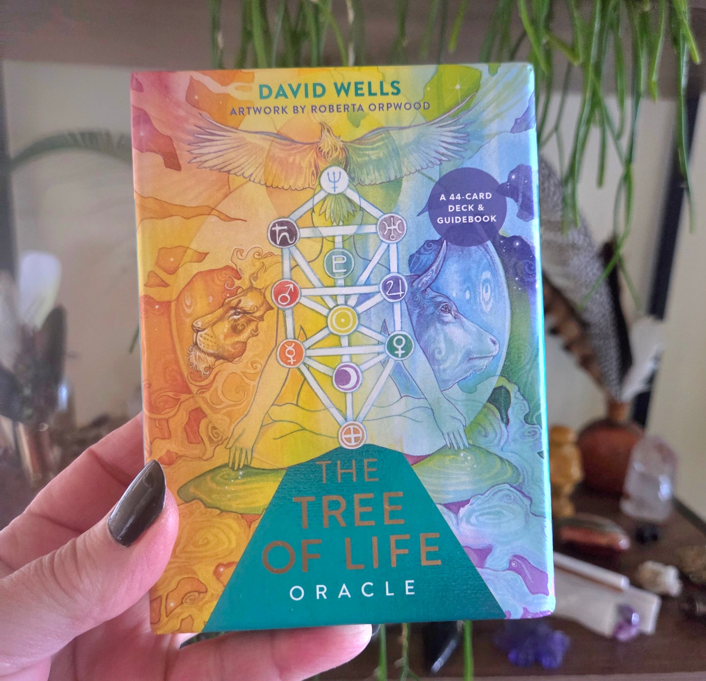 Book titled 'The Tree of Life Oracle' held by a hand with a blurred indoor background.