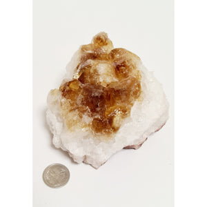 CITRINE CLUSTER - LARGE